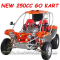 EWG 250CC GO KART EWG BUGGY EWG DUNE BUGGY